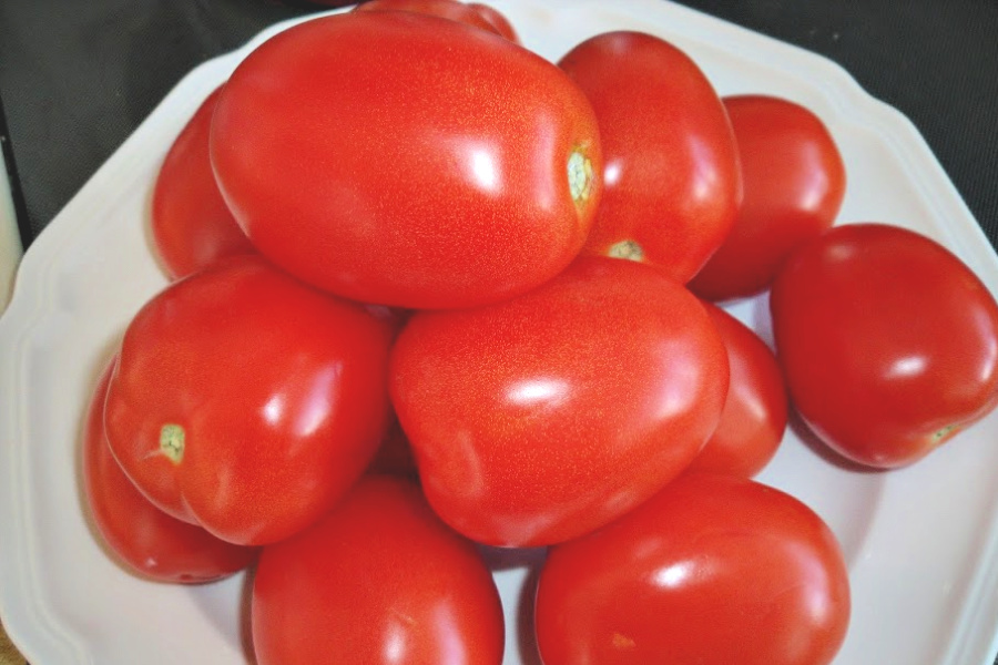 A delicious and easy recipe for fresh tomato bisque. Rome tomatoes and basil with cream and croutons make for a bright and tasty soup.