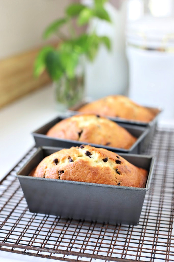 Easy recipe for chocolate chunk banana quick bread.