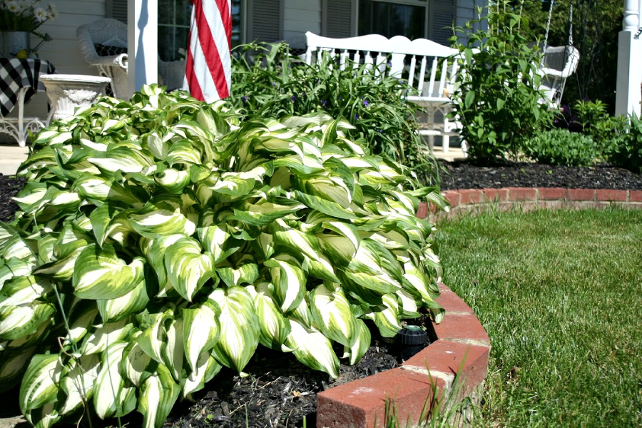 Sprucing up and decorating with accessories, flowers and garden plants getting ready for leisurely  spring and summertime front porch living.