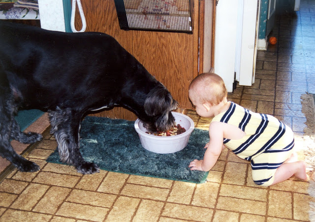 I've been told, you only get a dog like Scotty once in a lifetime. Our mutt from the animal orphanage was a very sweet dog.