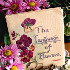 The Language of Flowers