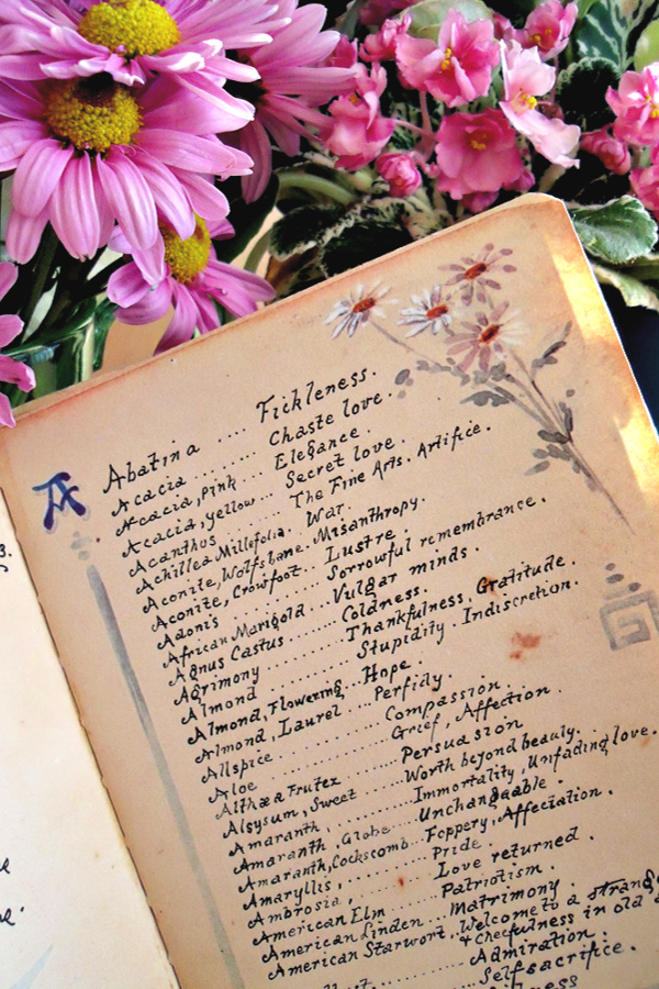 The Language of Flowers, written by 'Father' to 'Mother' August 8, 1913, is a sweet little dictionary of over 700 flowers and reminiscent of a gentler era.