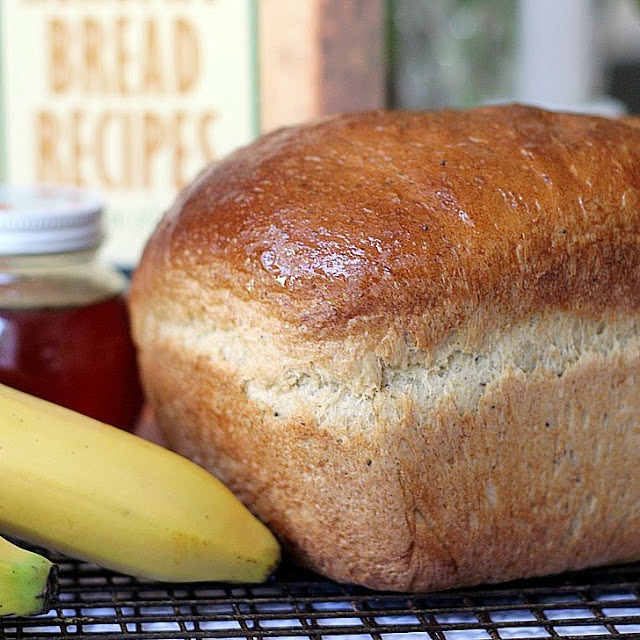 Don't toss out those extra bananas over-ripening on the counter. Very ripe bananas are a great reason to bake a loaf of Honey Banana Whole Wheat Bread. Banana, honey and poppy seeds give this bread a light, fluffy texture.  Use a bread machine to make the dough then bake in a loaf pan or let the machine complete the whole process.