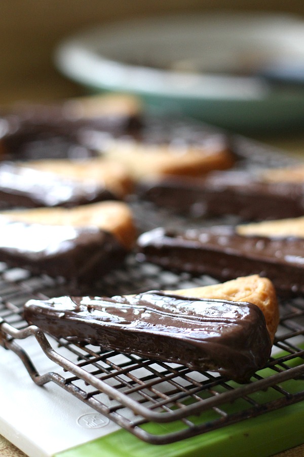 Easy recipe for chocolate dipped, orange spice shortbread. Delicious and beautiful with or without sprinkled nuts to enjoy with coffee or tea. Lovely addition to the holiday cookie tray and wonderful as homemade gift from the kitchen.