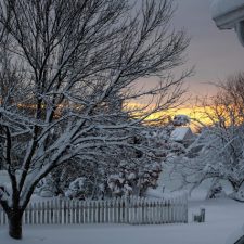 Thundersnow and Winter Robins