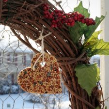 Making Seed Treats for the Birds