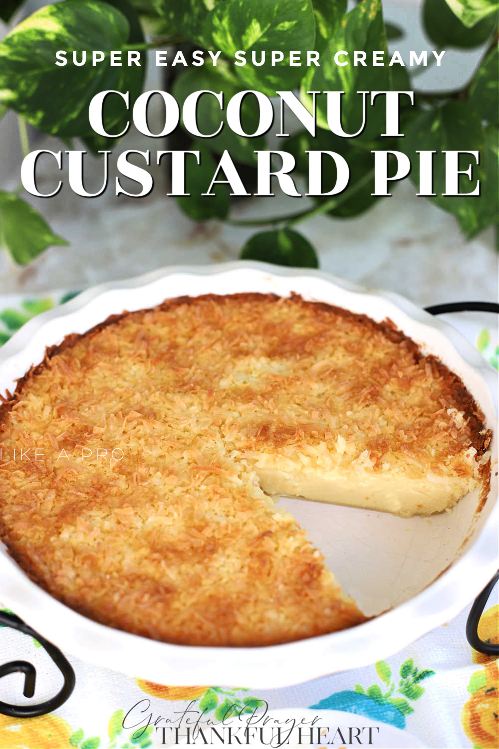 Super easy recipe that is delicious and always a favorite. Creamy Impossible Coconut Custard pie creates its own crust and takes just a few minutes to prepare. Add ingredients to a blender, pour into a pie pan, top with coconut and bake. It is that easy!