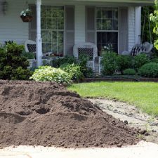 Busy Days Creating a New Garden Berm