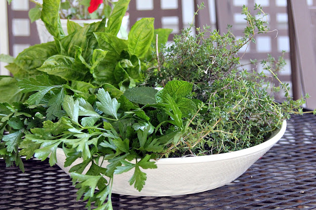 how to harvest and store fresh herbs