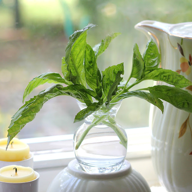 Gather those herbs as the autumn garden begins to fade to enjoy throughout the winter months. Suggestions for drying and freezing.