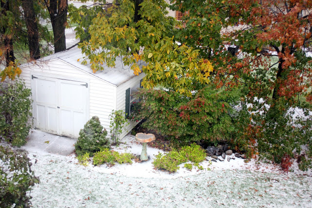 snow in autumn