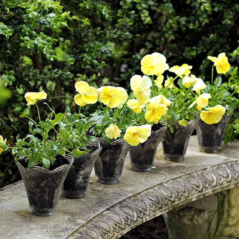 Don't trash those globes from the chandelier you just replaced. Up-cycle them into the cutest flower pots by simple re-purposing.