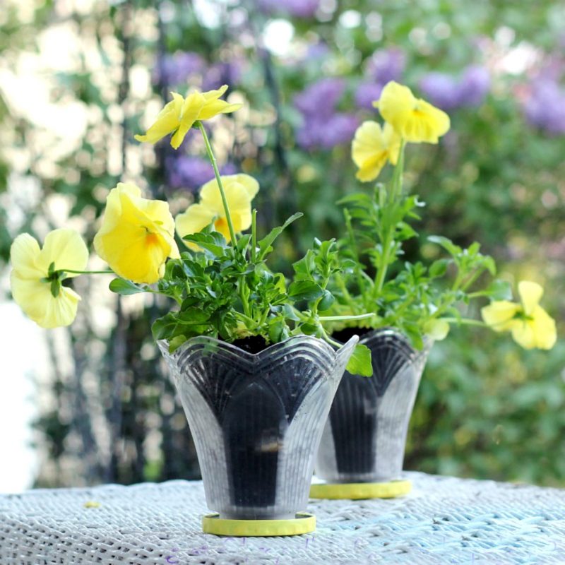 Don't trash those globes from the chandelier you just replaced. Up-cycle them into the cutest flower pots by simple re-purposing.