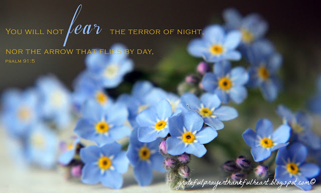 Psalm 91 is beautiful and encouraging, assuring us of God's protection and care. Each verse from this psalm is illustrated with a beautiful flower photo. Lovely to reflect on remembering we are not alone even through the hard things.