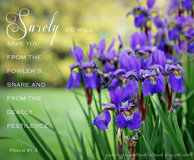 Psalm 91 is beautiful and encouraging, assuring us of God's protection and care. Each verse from this psalm is illustrated with a beautiful flower photo. Lovely to reflect on remembering we are not alone even through the hard things.