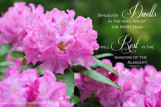 Psalm 91 is beautiful and encouraging, assuring us of God's protection and care. Each verse from this psalm is illustrated with a beautiful flower photo. Lovely to reflect on remembering we are not alone even through the hard things.