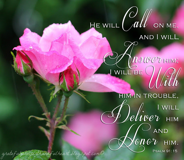 Psalm 91 is beautiful and encouraging, assuring us of God's protection and care. Each verse from this psalm is illustrated with a beautiful flower photo. Lovely to reflect on remembering we are not alone even through the hard things.