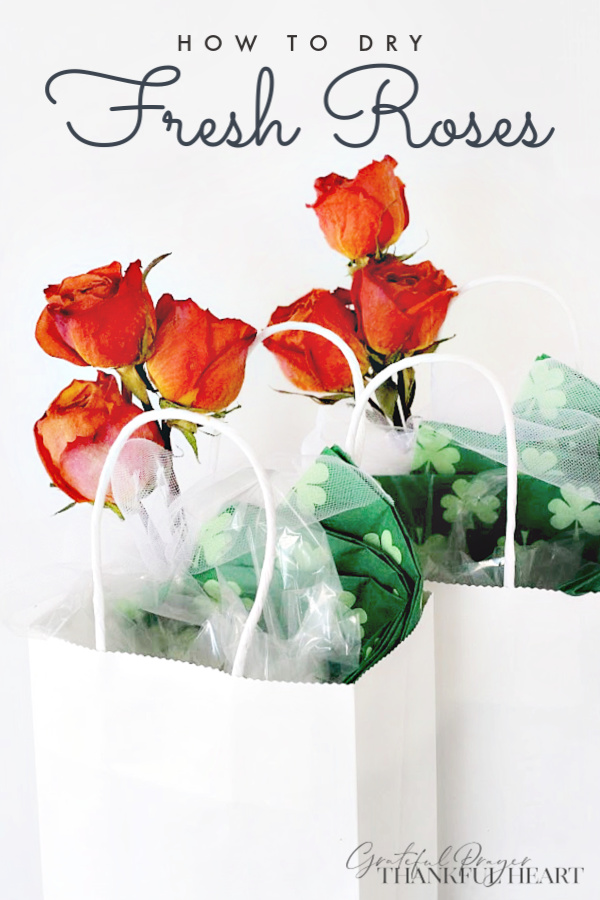 Make gifts festive by decorating with preserved dried roses. Easy how-to dry fresh roses from your garden or purchased.