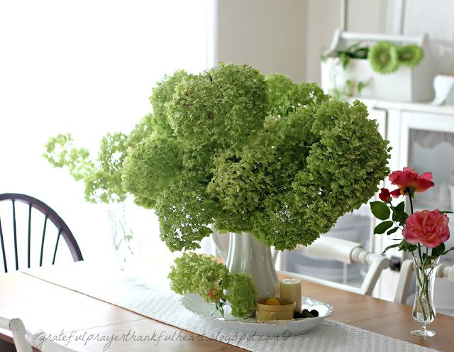 Gathering and drying hydrangea blossoms for projects.