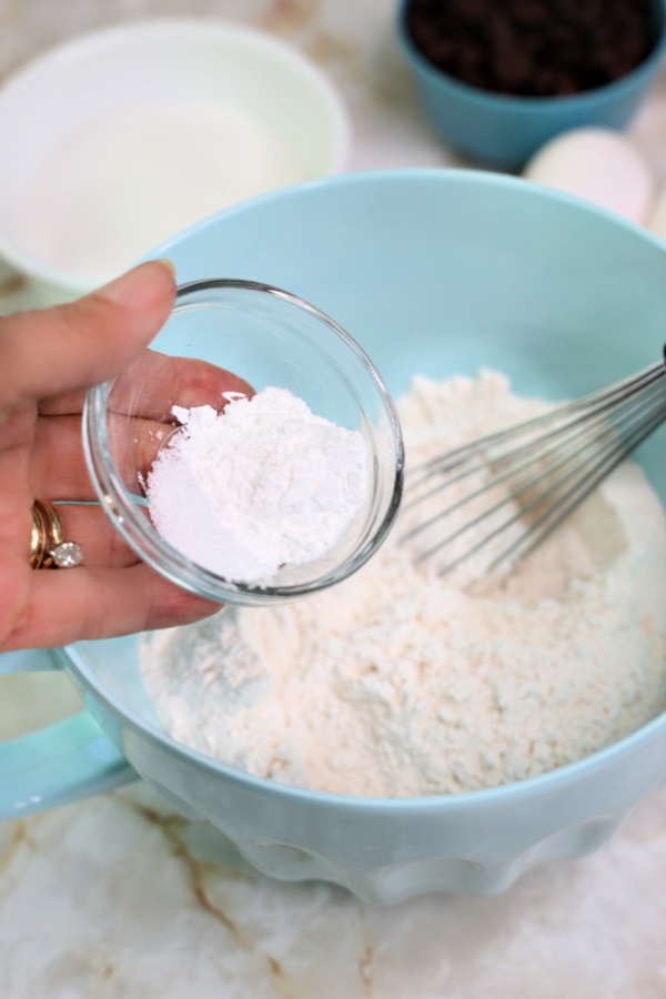 ingredients for making chocolate anise biscotti