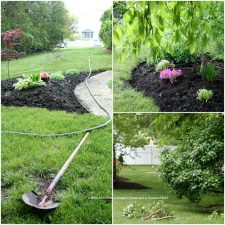 Rainy Day Yard Work