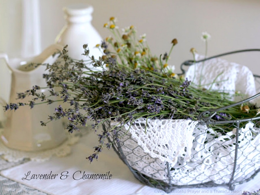 Easy recipe for glazed Sweet Lavender Scones delicious with coffee or tea. Lavender buds impart a mild floral hint that is unique but not overpowering.