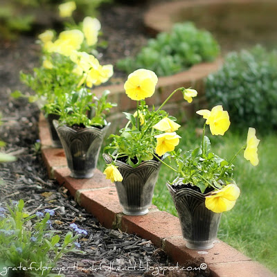 up-cycled, recycled, re-purposed glass globes become flower pots.