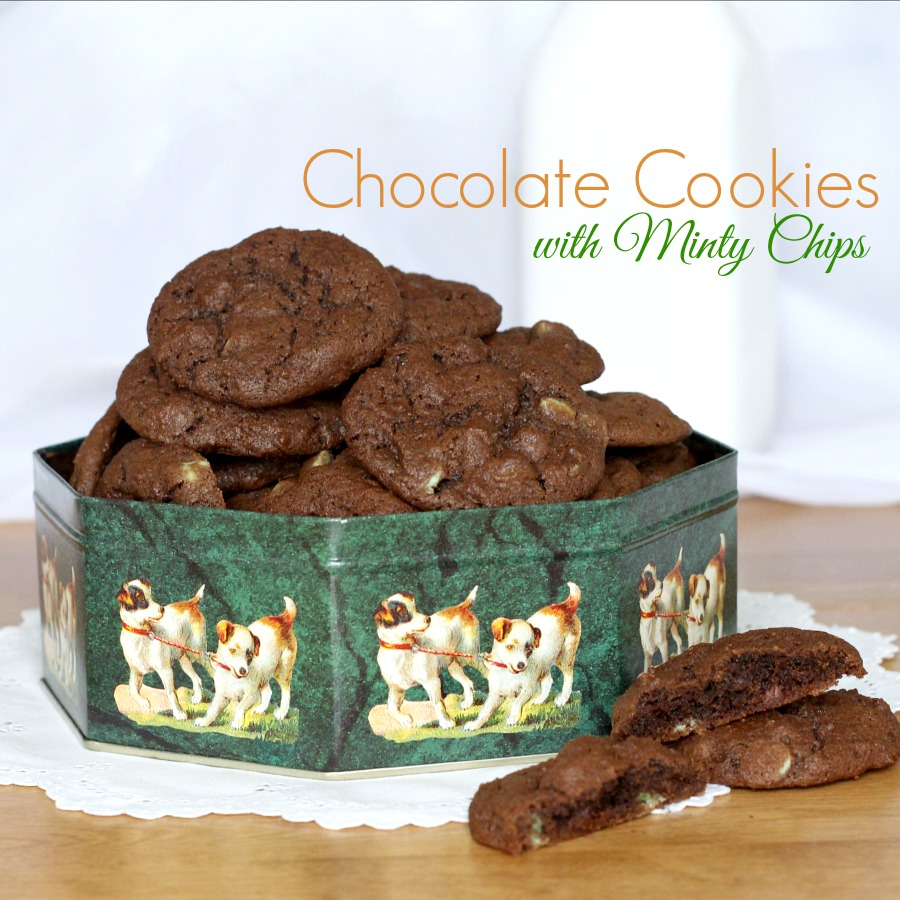 Easy recipe for Chocolate Cookies with Minty Chips. These chocolaty cookies with dark chocolate and mint chips are perfect any time of year but especially nice for St Patrick's Day celebrating.