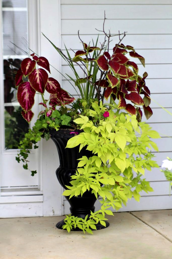 A garage sale urn was a DIY project. A little work and a new coat of paint resulted in a beautiful, farmhouse style porch planter for spring garden flowers with lots of curb appeal. Shade loving annuals flowers and coleus do exceptionally well.