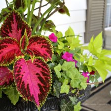 Porch Planters