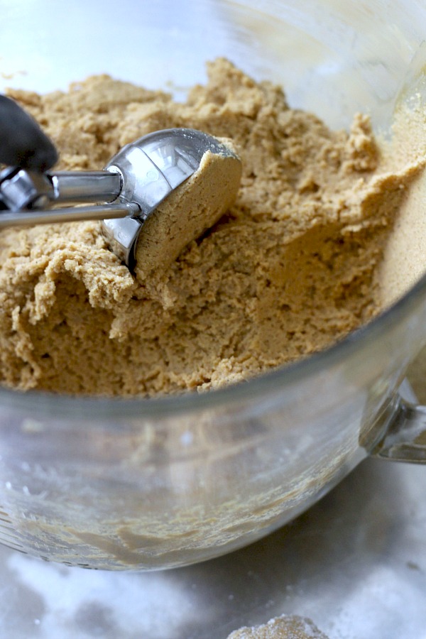 Lightly spiced Ginger Crinkles are a favorite when baking cookies with kids. Crunchy and crackled outside with chewy center. Perfect for autumn.