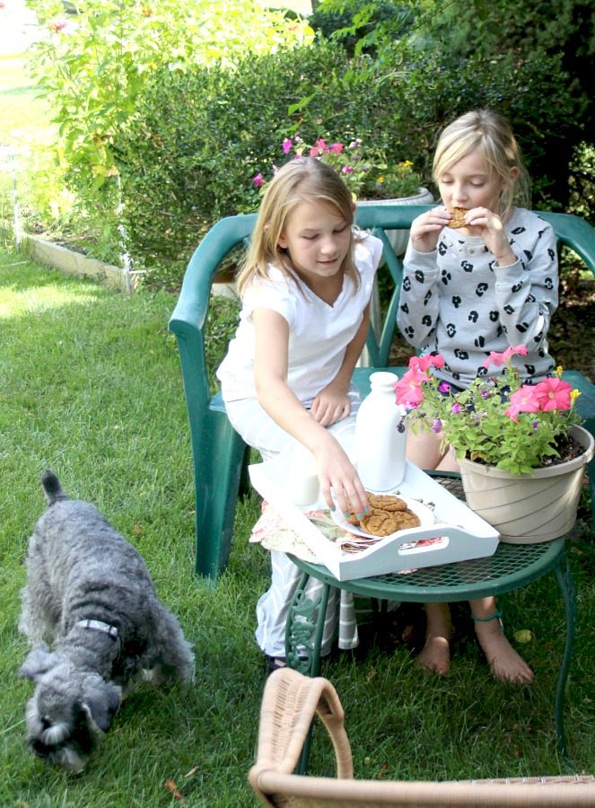 Lightly spiced Ginger Crinkles are a favorite when baking cookies with kids. Crunchy and crackled outside with chewy center. Perfect for autumn.