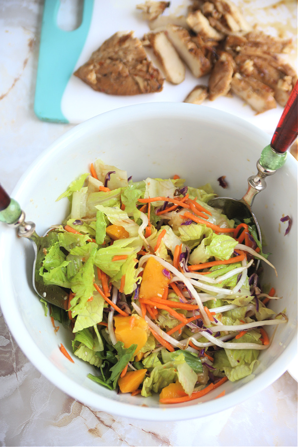 easy recipe for chicken pineapple mango Asian salad