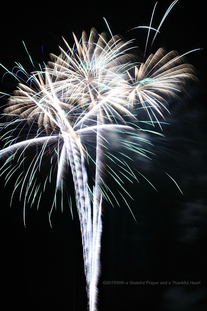 Wouldn't you love to capture photos of those amazing fireworks illuminating the night sky? Learn from these easy step-by-step instructions for how to get great Fireworks photos as we Celebrate the 4th of July!