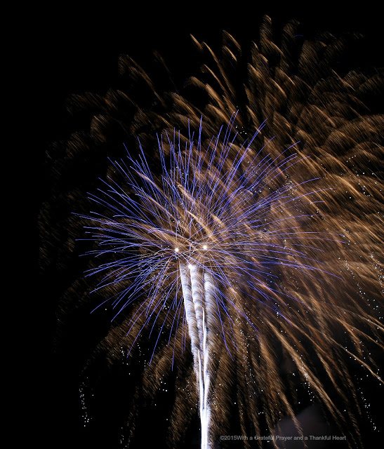 Wouldn't you love to capture photos of those amazing fireworks illuminating the night sky? Learn from these easy step-by-step instructions for how to get great Fireworks photos as we Celebrate the 4th of July!