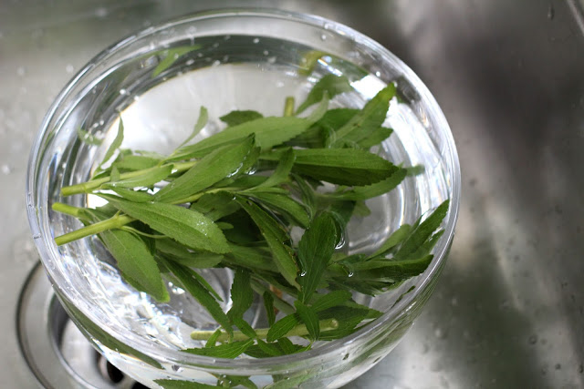 After purchasing a plant and growing it in the herb garden, harvesting the leaves and then experimenting with Stevia as an alternative sweetener.