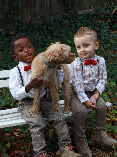 Little boys look adorable dressed up with suspenders and red bow ties. You can make them quickly with this easy knitted bow tie pattern. Sweet for any occasion. 