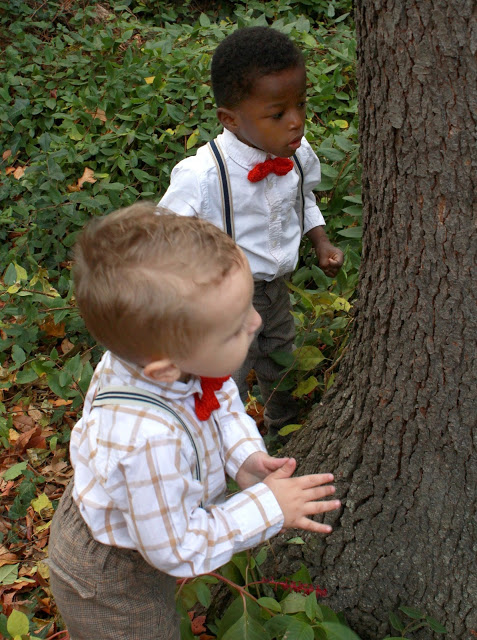 Little boys look adorable dressed up with suspenders and red bow ties. You can make them quickly with this easy knitted bow tie pattern. Sweet for any occasion. 