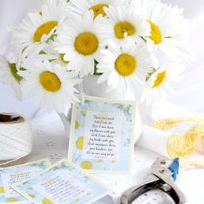 Shasta Daisies Gift Tags