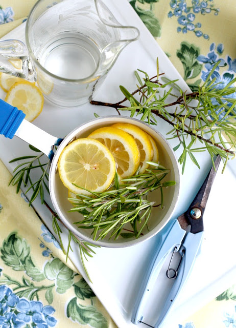 Rosemary is a perennial herb and easy to propagate from stem cuttings to make more plants. Rosemary infuses lots of flavor in cooking but it also is a lovely ingredient in this light and clean-smelling, simmering potpourri. Learn to propagate rosemary and make a simmering potpourri from it.