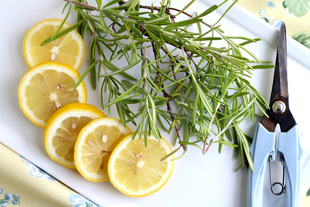 Rosemary is a perennial herb and easy to propagate from stem cuttings to make more plants. Rosemary infuses lots of flavor in cooking but it also is a lovely ingredient in this light and clean-smelling, simmering potpourri. Learn to propagate rosemary and make a simmering potpourri from it.