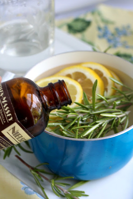 Rosemary is a perennial herb and easy to propagate from stem cuttings to make more plants. Rosemary infuses lots of flavor in cooking but it also is a lovely ingredient in this light and clean-smelling, simmering potpourri. Learn to propagate rosemary and make a simmering potpourri from it.