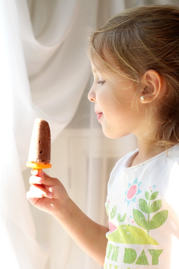 frozen chocolate peanut butter fudgesicles frozen pop