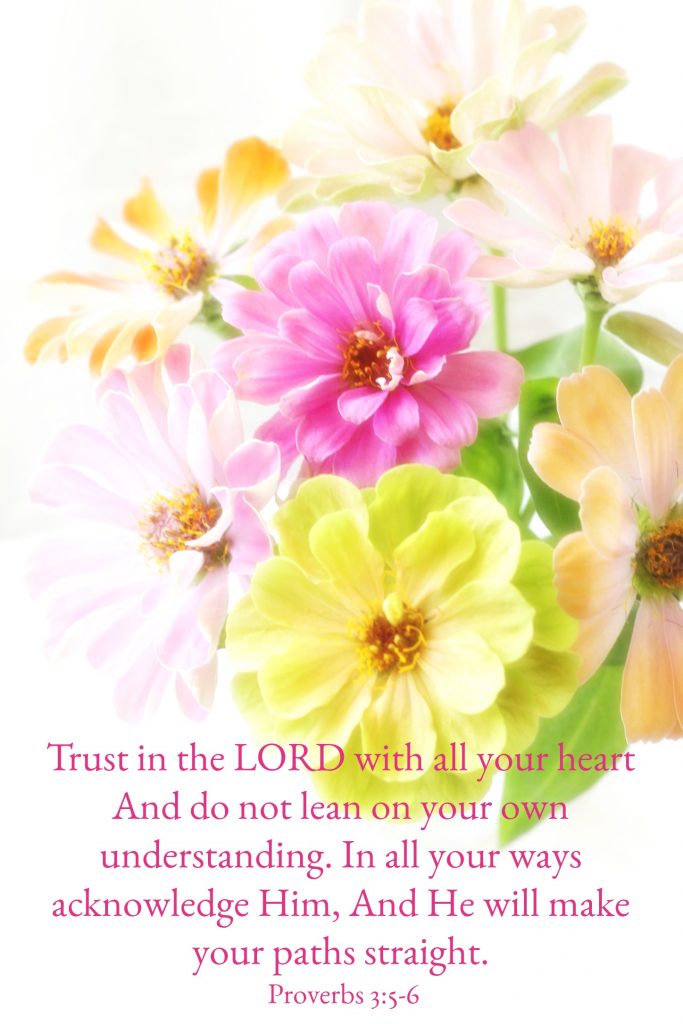 Trust in the Lord and lean not on your own understanding Proverbs 3 5 to 6