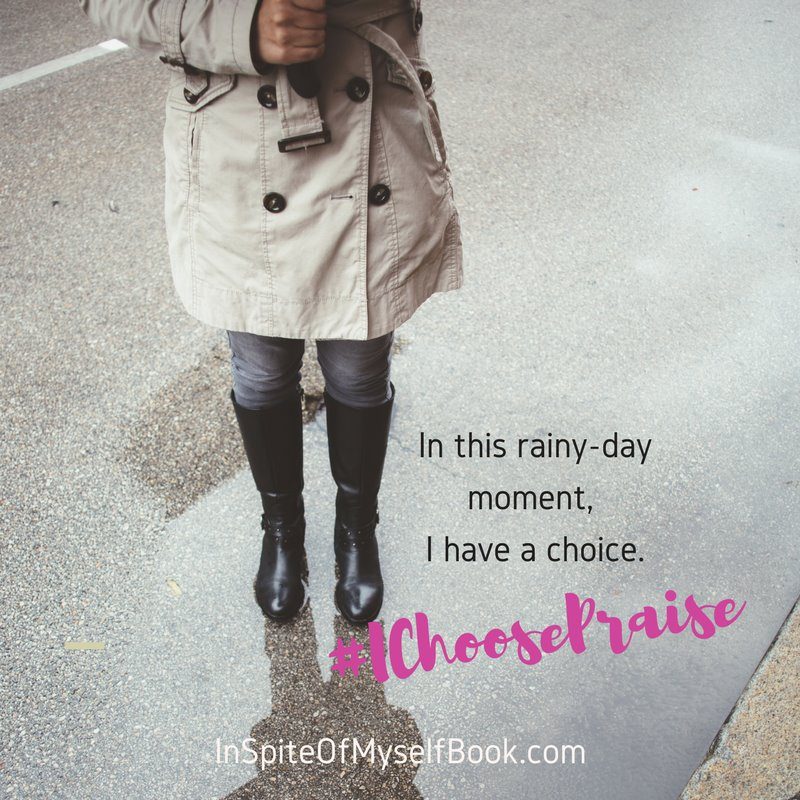 Even when life gets difficult and problems seem to be everywhere, we can choose praise. In Spite of Myself: How Intentional Praise Can Transform Your Heart and Home shows how.