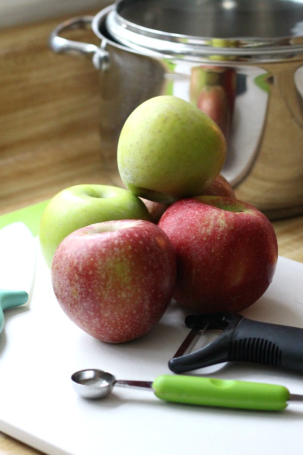 Super easy, homemade chunky applesauce lightly sweetened and with a hint of cinnamon and cloves. Lovely autumn & Thanksgiving side dish using fresh apples.