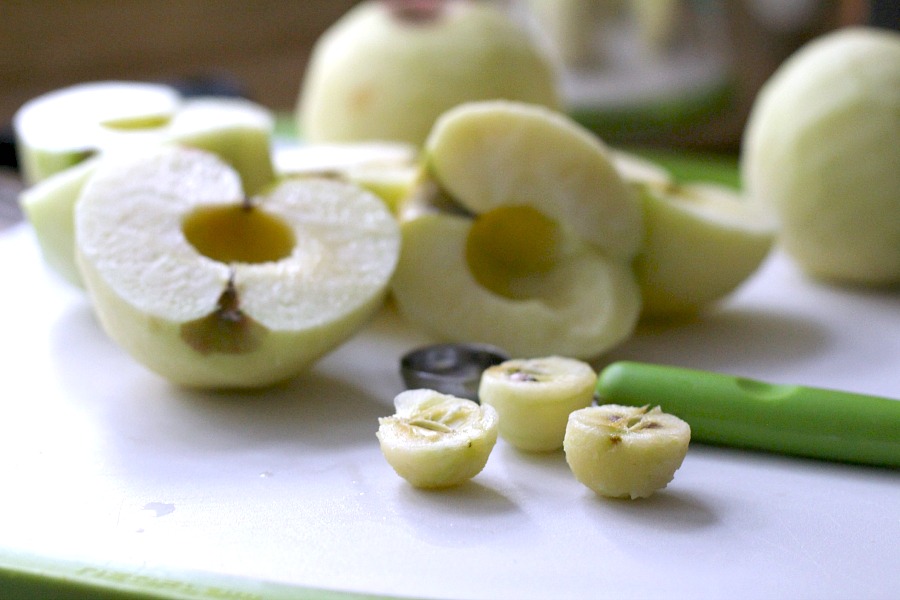 Super easy, homemade chunky applesauce lightly sweetened and with a hint of cinnamon and cloves. Lovely autumn & Thanksgiving side dish using fresh apples.