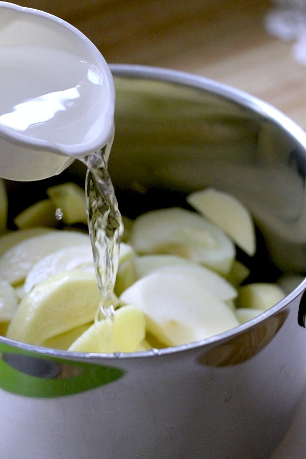 Super easy, homemade chunky applesauce lightly sweetened and with a hint of cinnamon and cloves. Lovely autumn & Thanksgiving side dish using fresh apples.