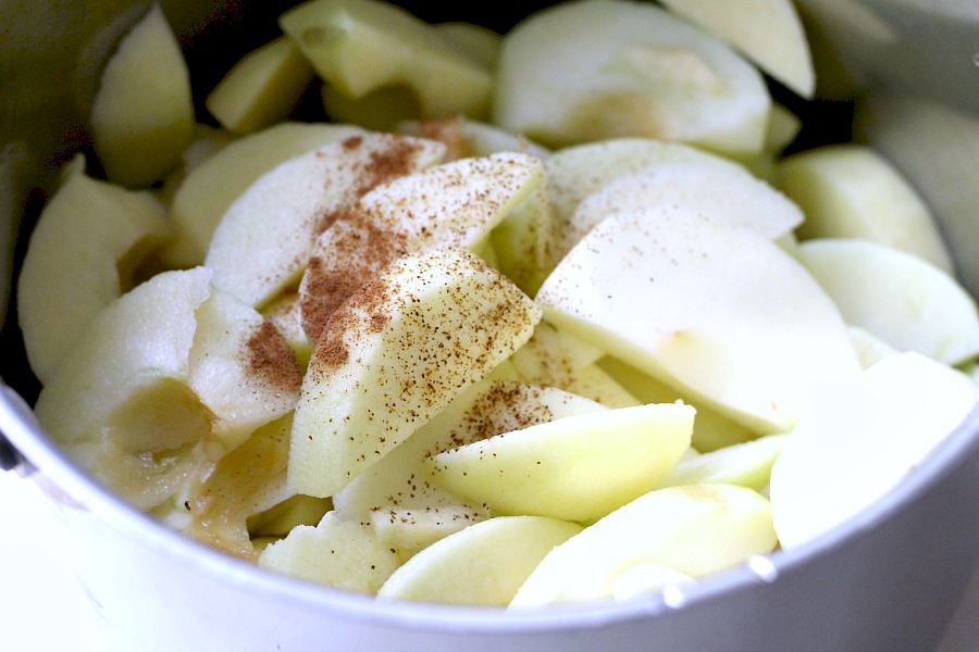 Super easy, homemade chunky applesauce lightly sweetened and with a hint of cinnamon and cloves. Lovely autumn & Thanksgiving side dish using fresh apples.