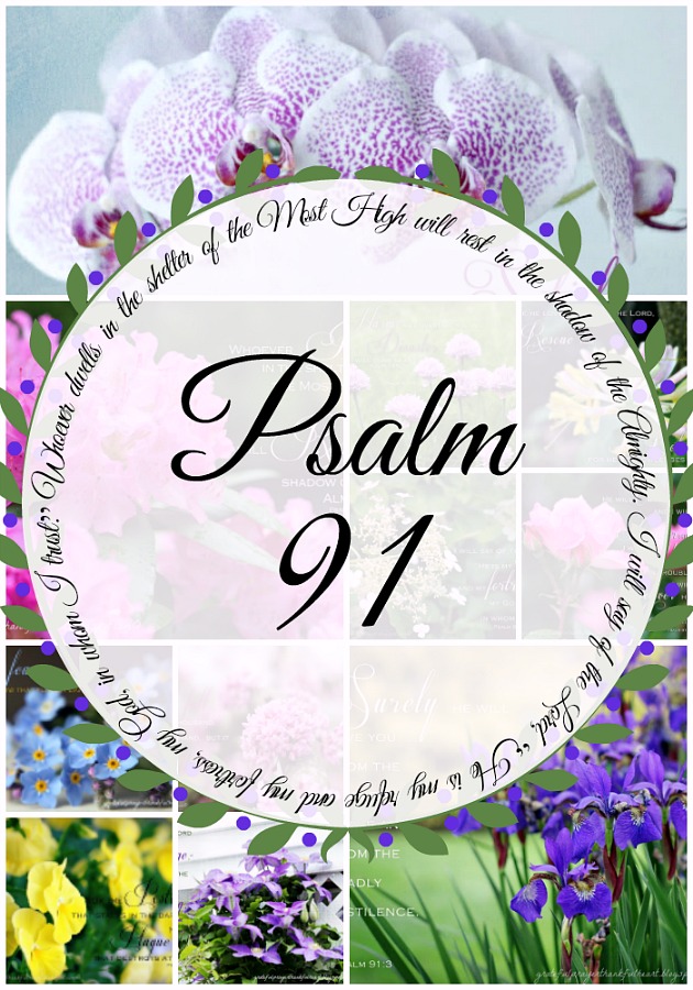 Psalm 91 is beautiful and encouraging, assuring us of God's protection and care. Each verse from this psalm is illustrated with a beautiful flower photo. Lovely to reflect on remembering we are not alone even through the hard things.